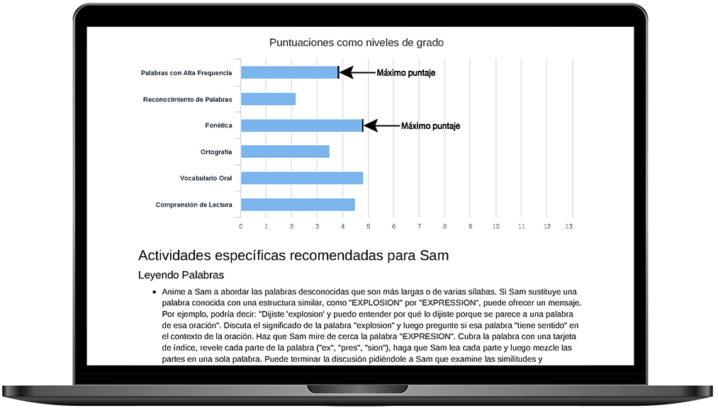 DORA Summary Report Spanish Sample