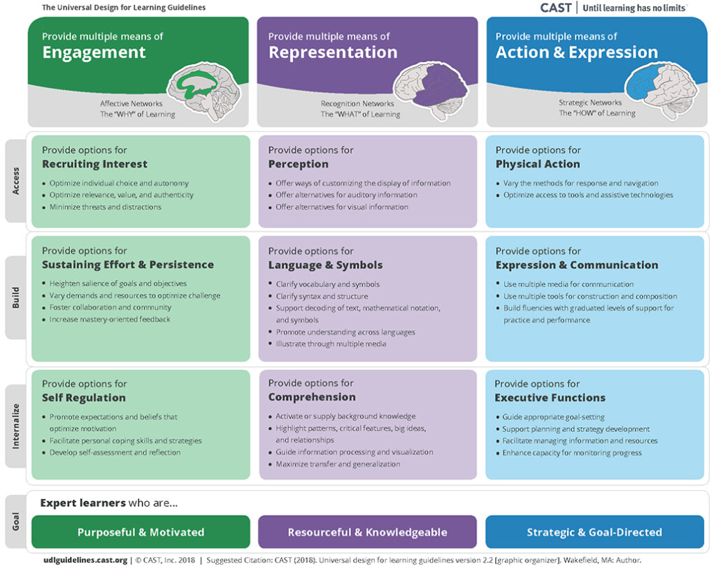 A UDL graphic organizer from CAST